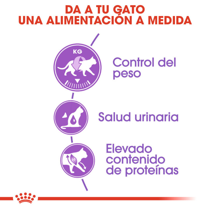 Royal Canin Feline Sterilised 37, Pienso para gatos - Kompymascotas