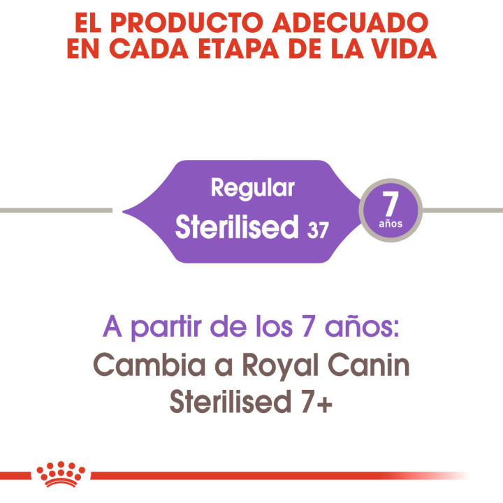 Royal Canin Feline Sterilised 37, Pienso para gatos - Kompymascotas
