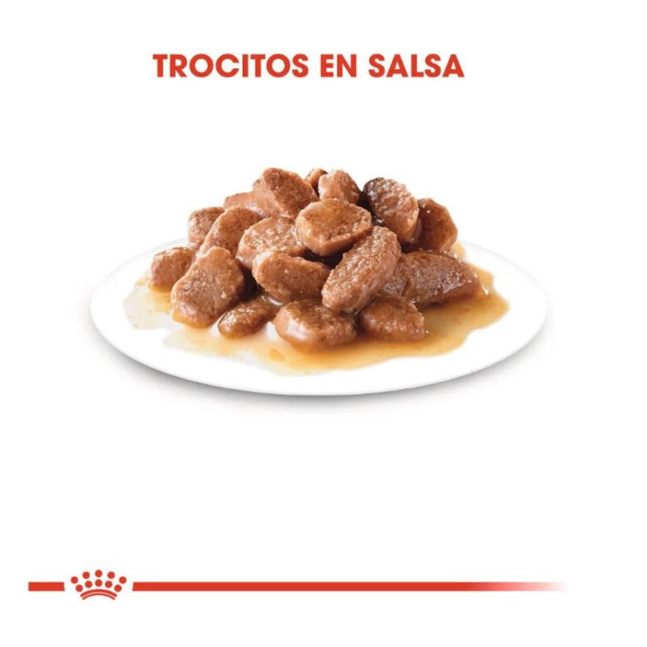 Royal Canin Instinctive, Comida Húmeda para gatos - Kompymascotas