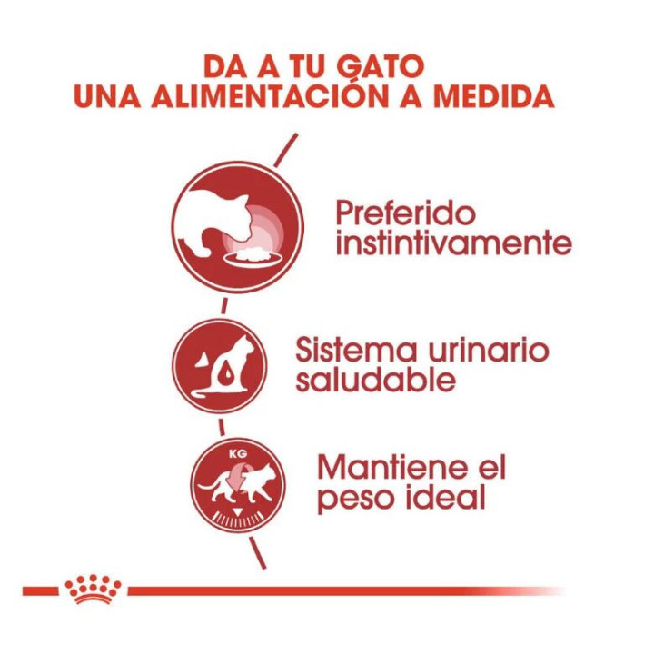 Royal Canin Instinctive, Comida Húmeda para gatos - Kompymascotas