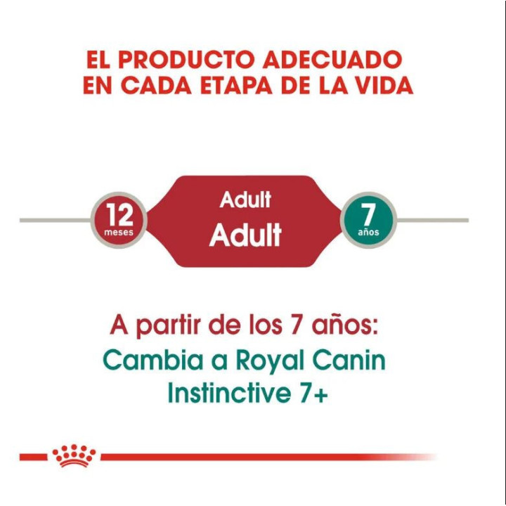 Royal Canin Instinctive, Comida Húmeda para gatos - Kompymascotas