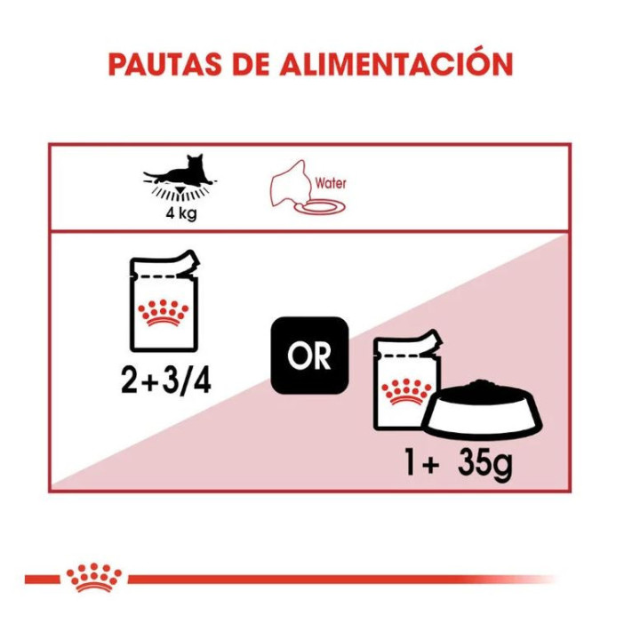 Royal Canin Instinctive, Comida Húmeda para gatos - Kompymascotas