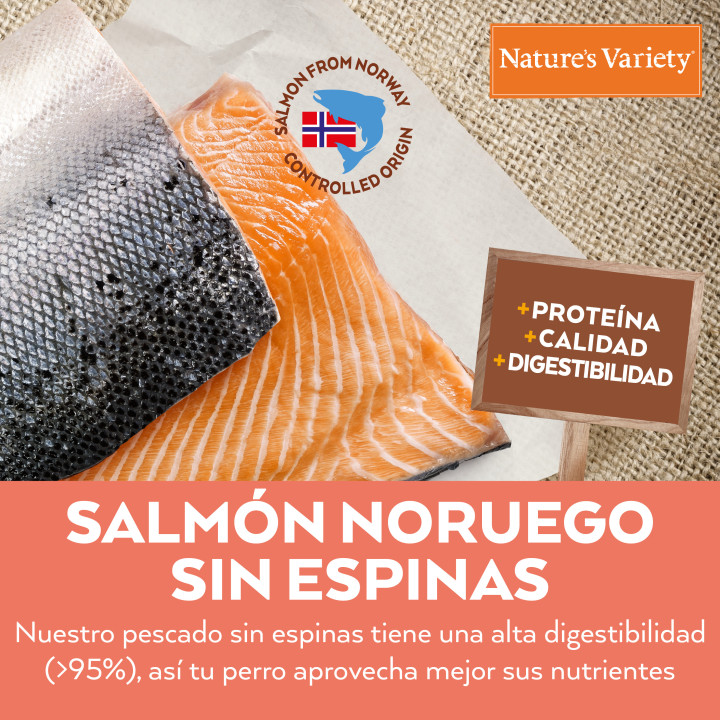 Natures Variety Original Grain Free Mini Adult Salmón - Piensoymasc