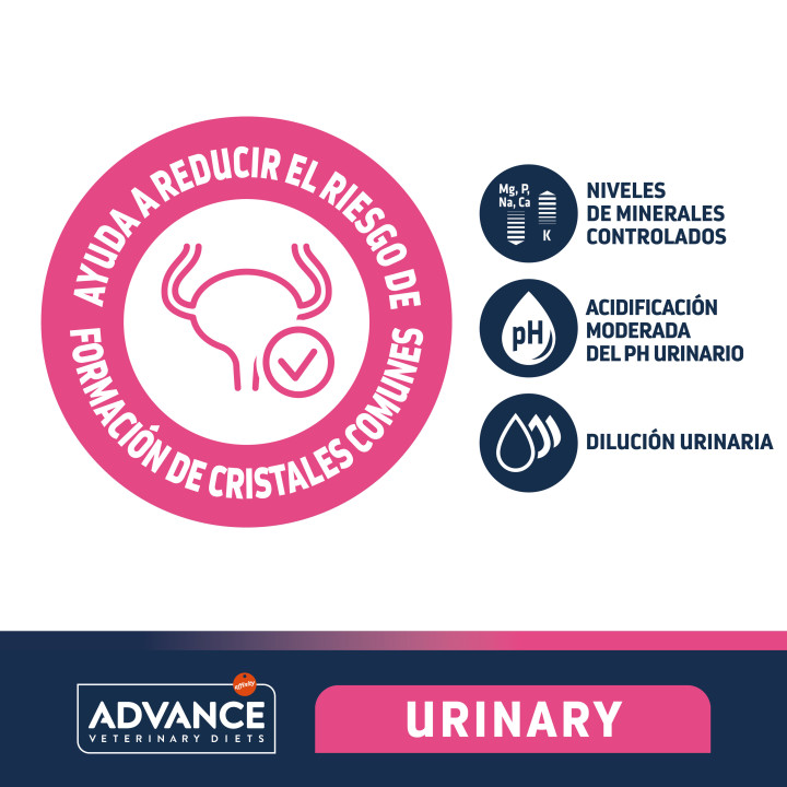 Advance Urinary Pienso para perros - Kompymascotas