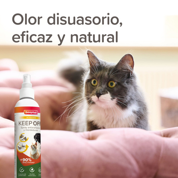 Beaphar Keep Off - Spray Educador Antiarañazos y mordeduras para Gatos y Perros - Interiores 