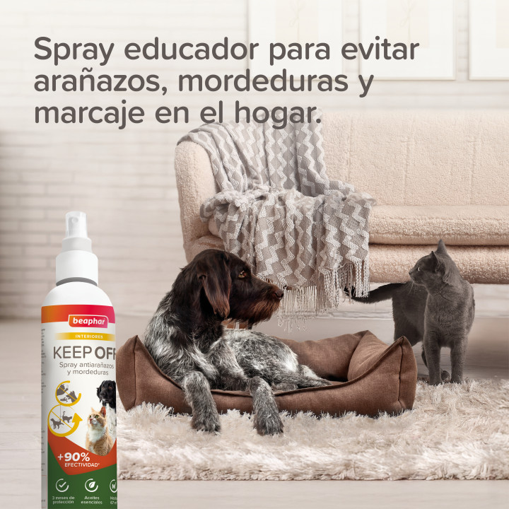 Beaphar Keep Off - Spray Educador Antiarañazos y mordeduras para Gatos y Perros - Interiores 