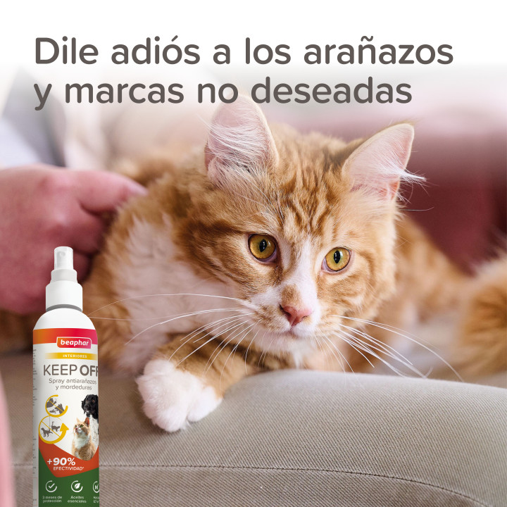 Beaphar Keep Off - Spray Educador Antiarañazos y mordeduras para Gatos y Perros - Interiores 