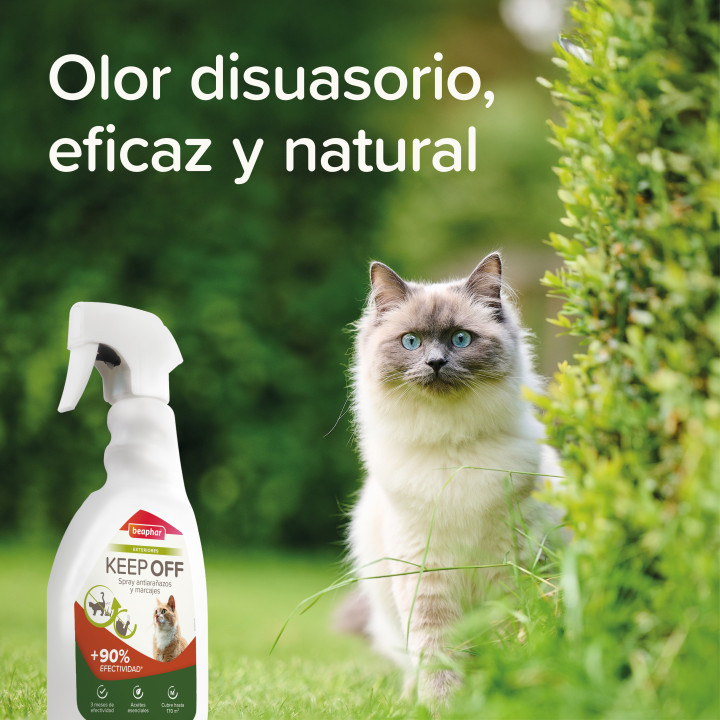 Beaphar Spray Educador Exterior - PiensoyMascotas