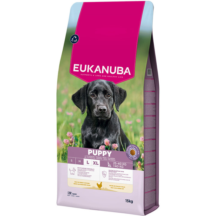 Eukanuba Puppy Large Breed Pienso para cachorros - Kompymascotas
