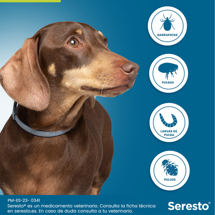 Seresto Collar antiparasitario para perros - Kompymascotas