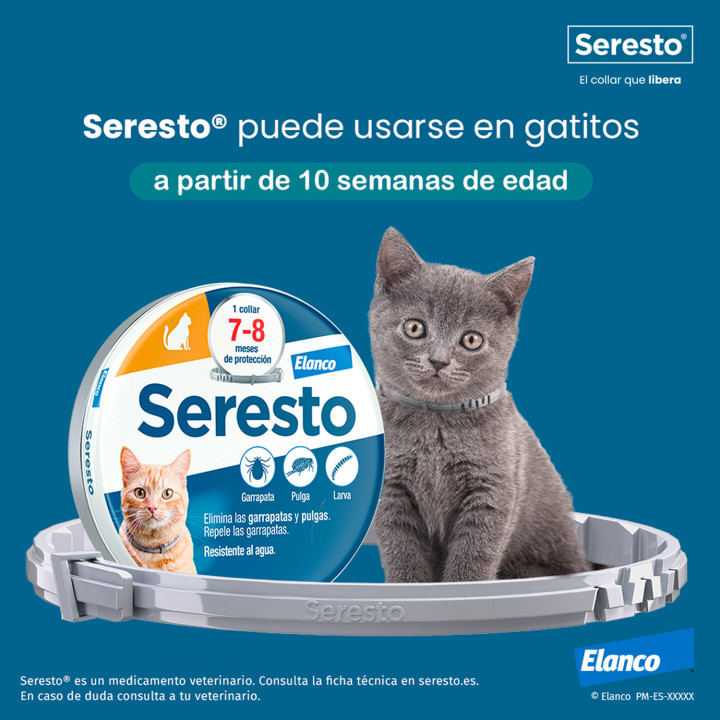 Collar Seresto gatos, antiparasitario - Kompymascotas