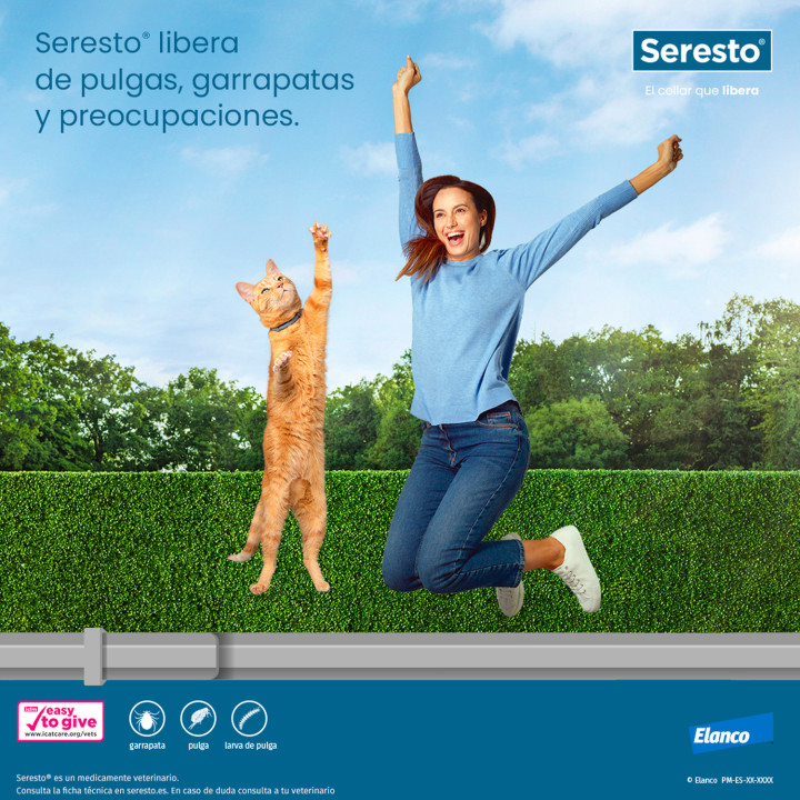 Collar Seresto gatos, antiparasitario - Kompymascotas