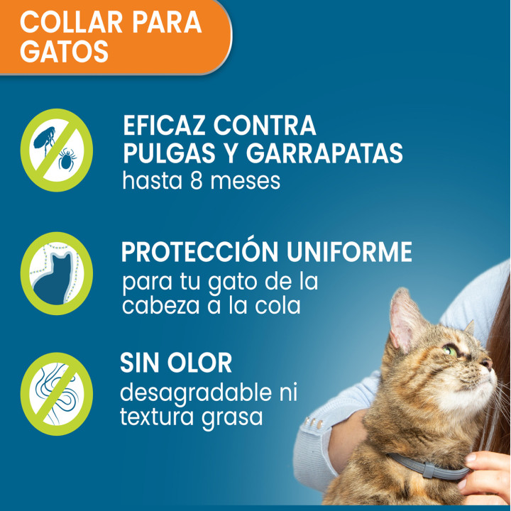 Collar Seresto gatos, antiparasitario - Kompymascotas