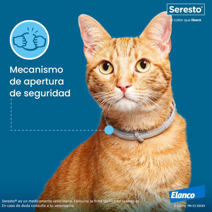 Collar Seresto gatos, antiparasitario - Kompymascotas
