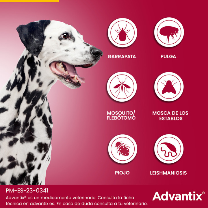 Advantix 4 unidades, Pipetas para perros - Kompymascotas