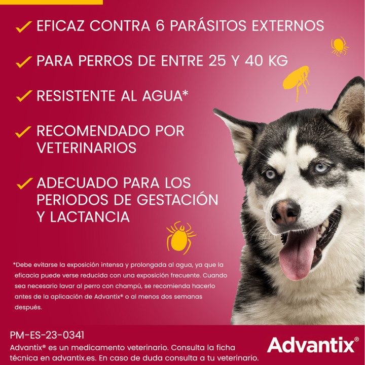 Advantix 4 unidades, Pipetas para perros - Kompymascotas