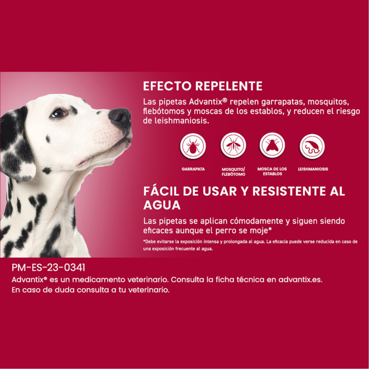 Advantix 4 unidades, Pipetas para perros - Kompymascotas