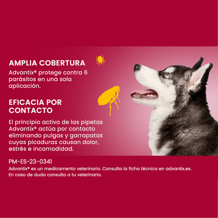 Advantix 4 unidades, Pipetas para perros - Kompymascotas