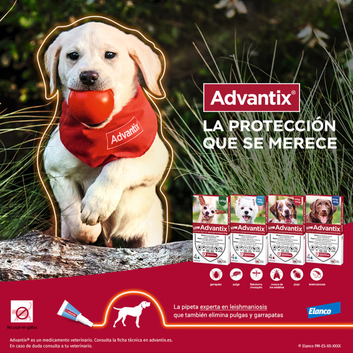 Advantix 4 unidades, Pipetas para perros - Kompymascotas