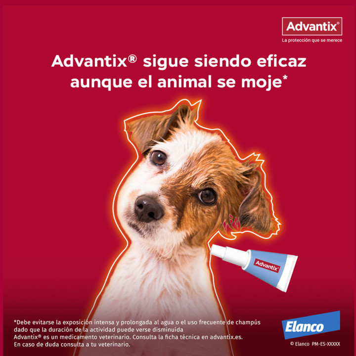 Advantix 4 unidades, Pipetas para perros - Kompymascotas