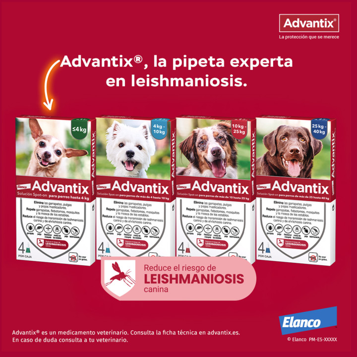 Advantix 4 unidades, Pipetas para perros - Kompymascotas