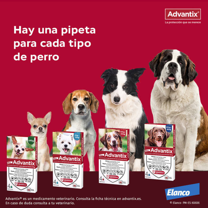Advantix 4 unidades, Pipetas para perros - Kompymascotas