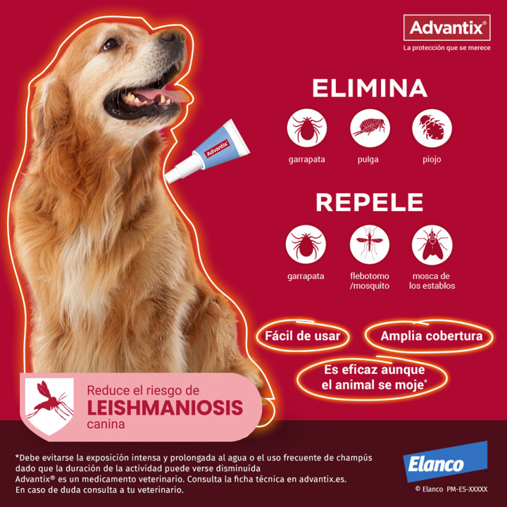 Advantix 4 unidades, Pipetas para perros - Kompymascotas
