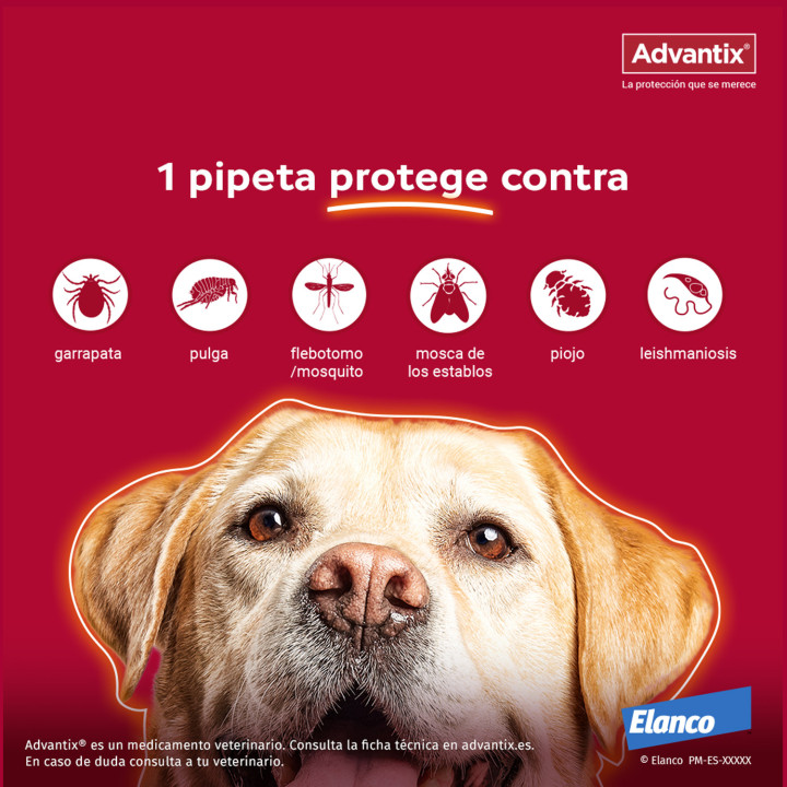 Advantix 4 unidades, Pipetas para perros - Kompymascotas