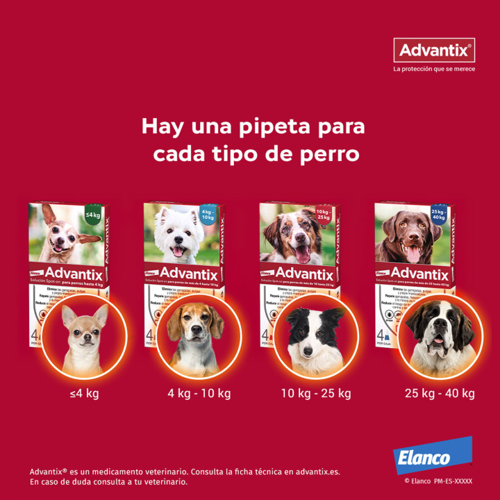 Advantix 4 unidades, Pipetas para perros - Kompymascotas