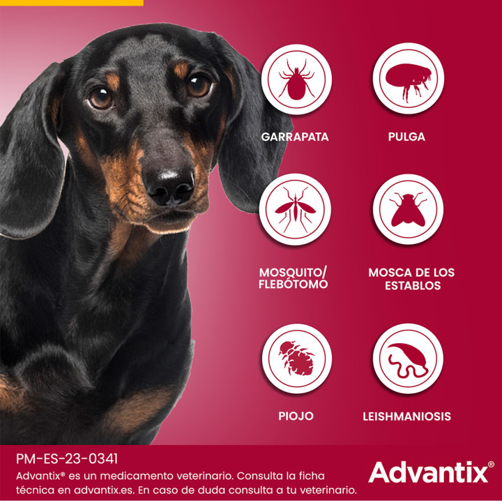 Advantix Monodosis Pipeta Antiparasitaria