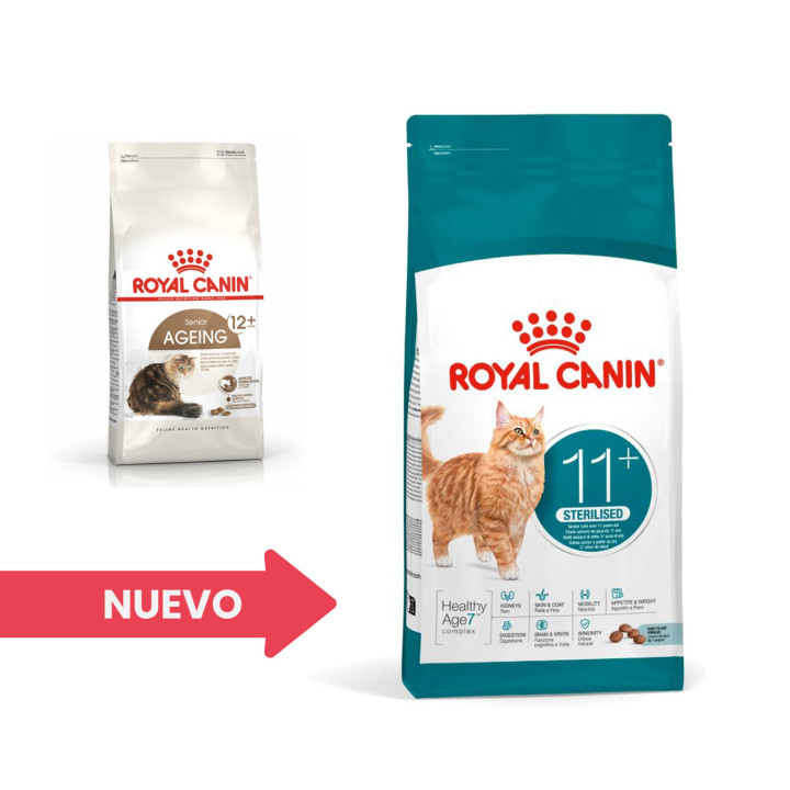 Royal Canin Sterilised +12, pienso para gatos esterilizados - Kompymascotas