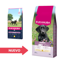 Eukanuba Puppy Large Breed Pienso para cachorros - Kompymascotas