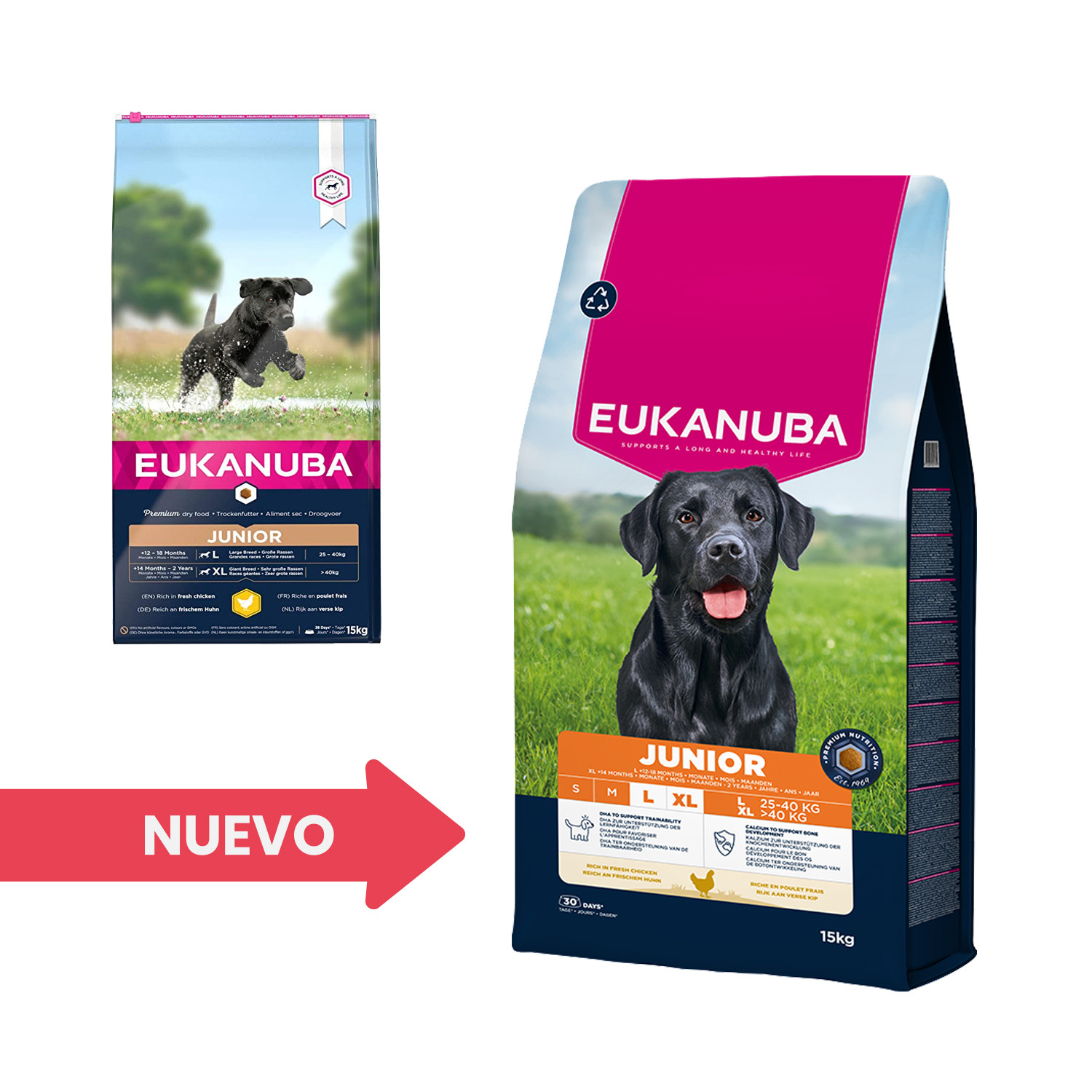 Eukanuba junior