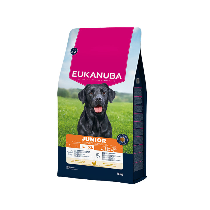 Nuevo EukanubaJunior Large Breed Pienso para perros - Kompymascotas