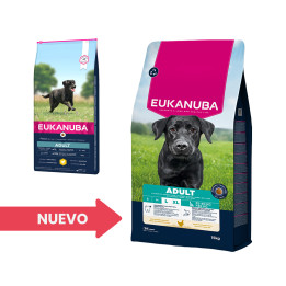 Eukanuba Adult Large Breed, pienso para perros grandes - Kompymascotas