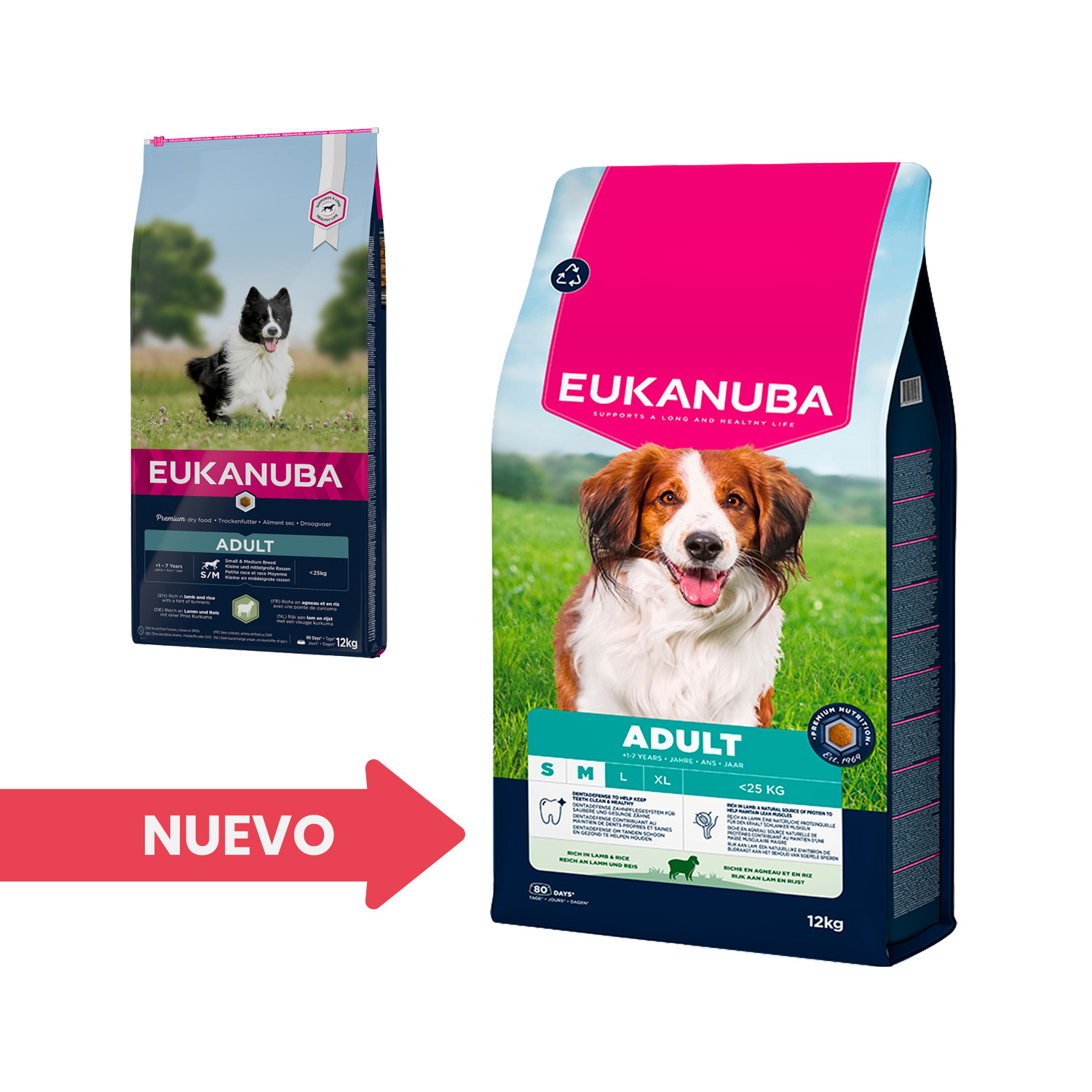 Eukanuba adult