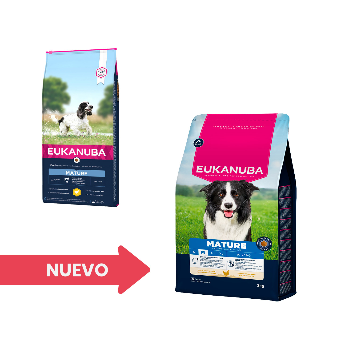Pienso perros senior