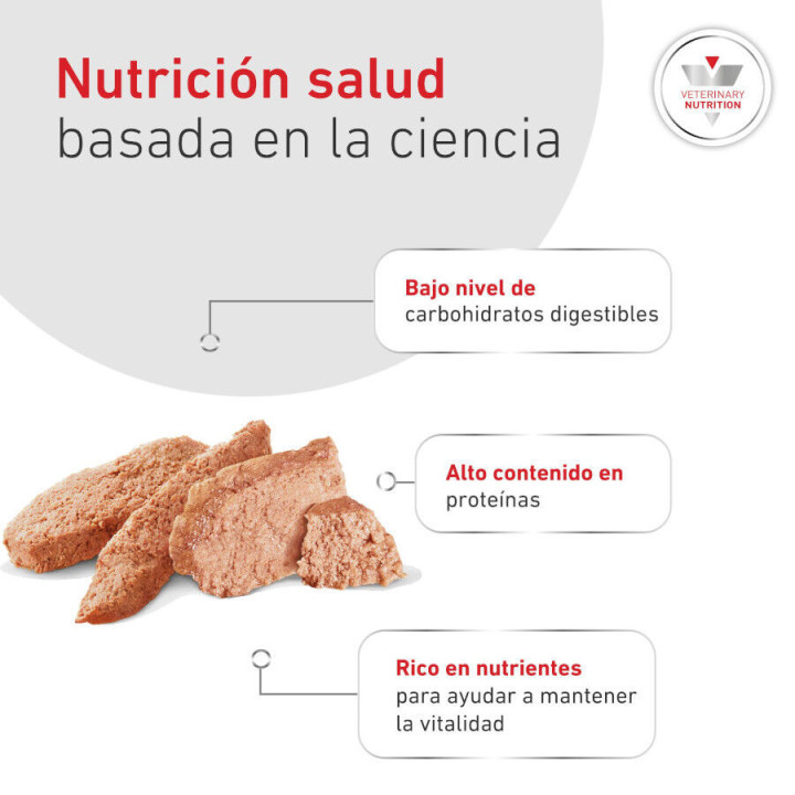 Royal Canin Diabetic Special Low Carbohydrate, comida húmeda - Kompymascotas