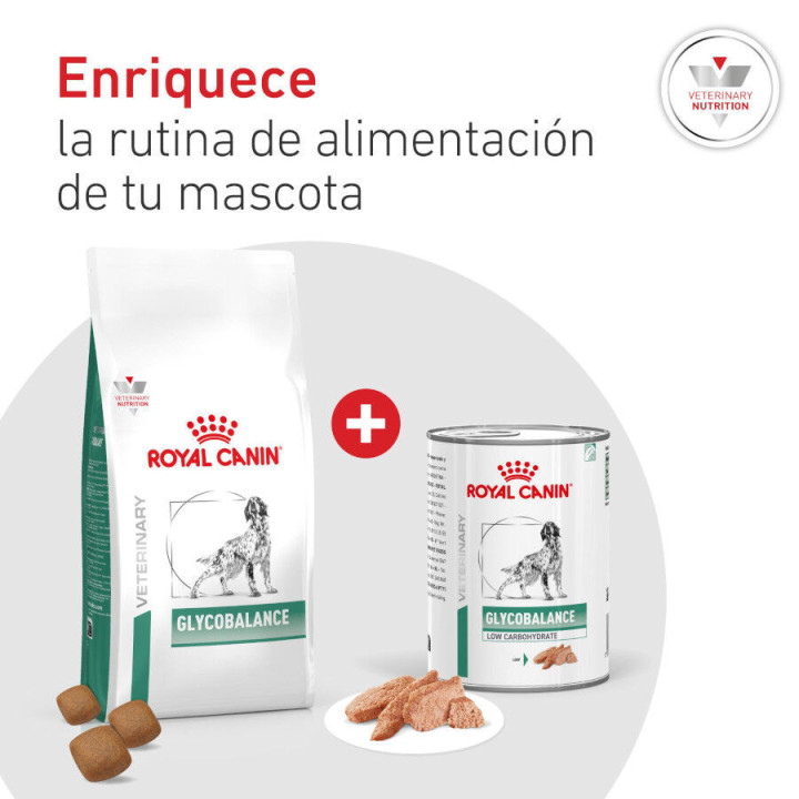 Royal Canin Diabetic Special Low Carbohydrate, comida húmeda - Kompymascotas