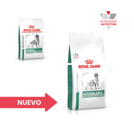 Royal Canin Diabetic, pienso para perros - Kompymascotas