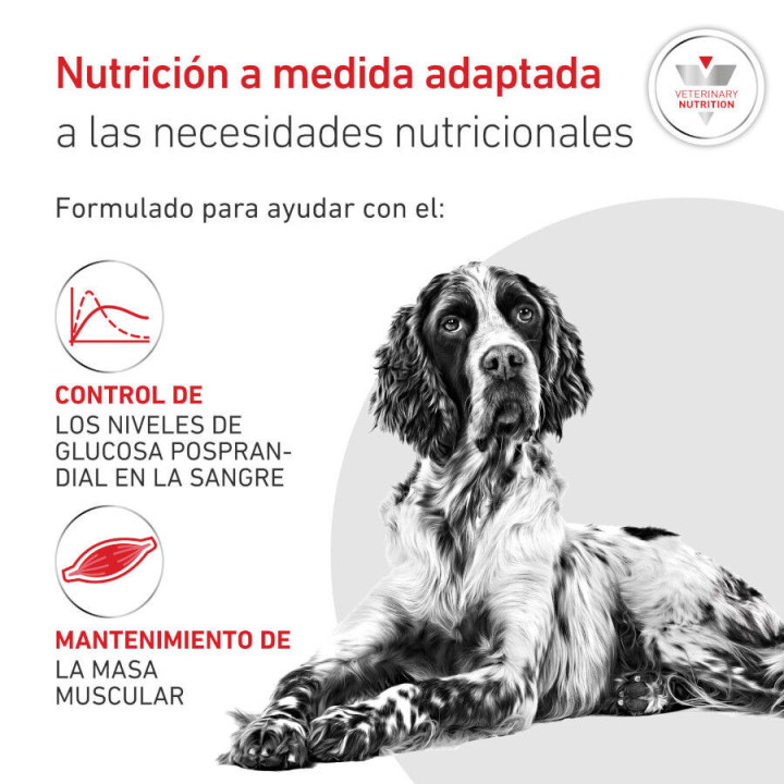 Royal Canin Diabetic, pienso para perros - Kompymascotas