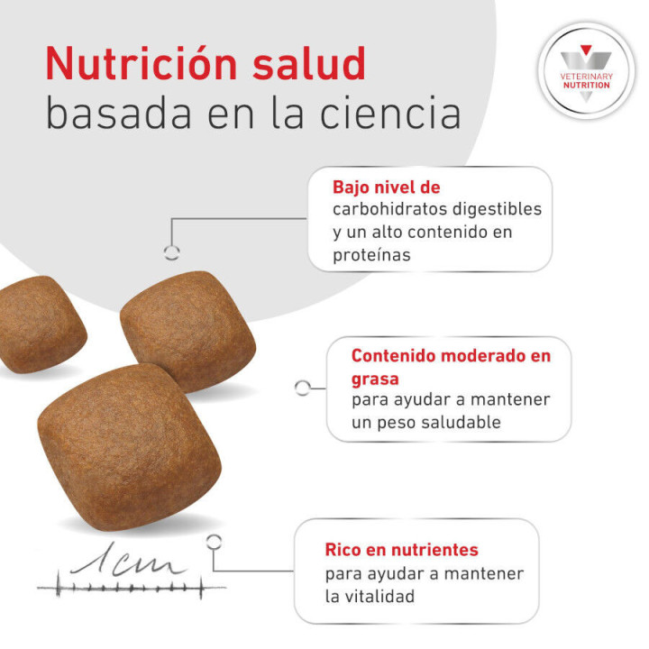 Royal Canin Diabetic, pienso para perros - Kompymascotas