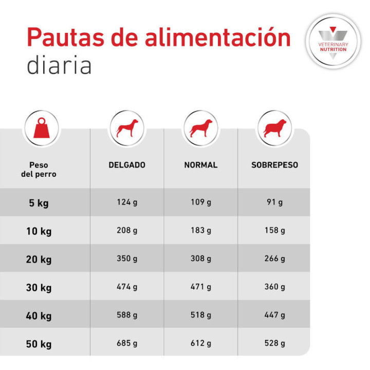 Royal Canin Diabetic, pienso para perros - Kompymascotas