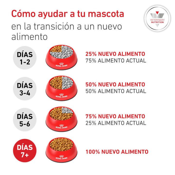 Royal Canin Diabetic, pienso para perros - Kompymascotas