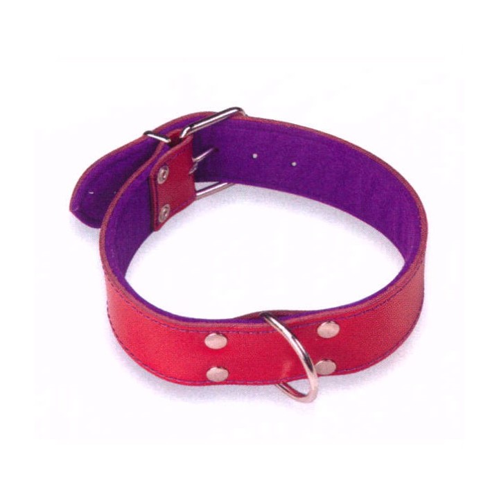 Collar Cuero Superfelt Color