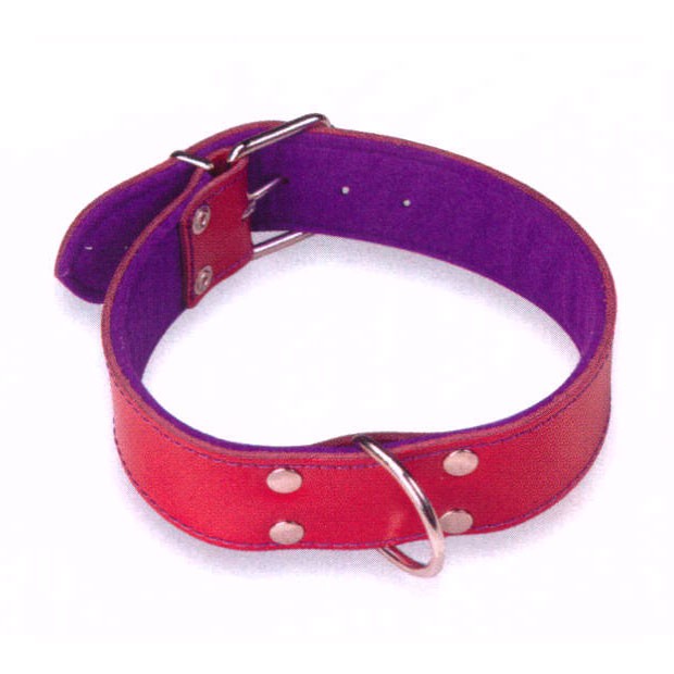 Collares de cuero perros