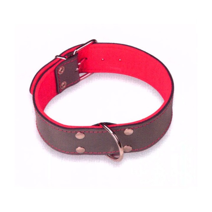 Collar Cuero Superfelt Color