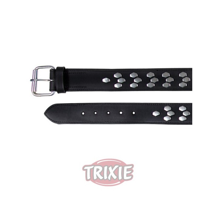 Collar Active con remaches de Trixie