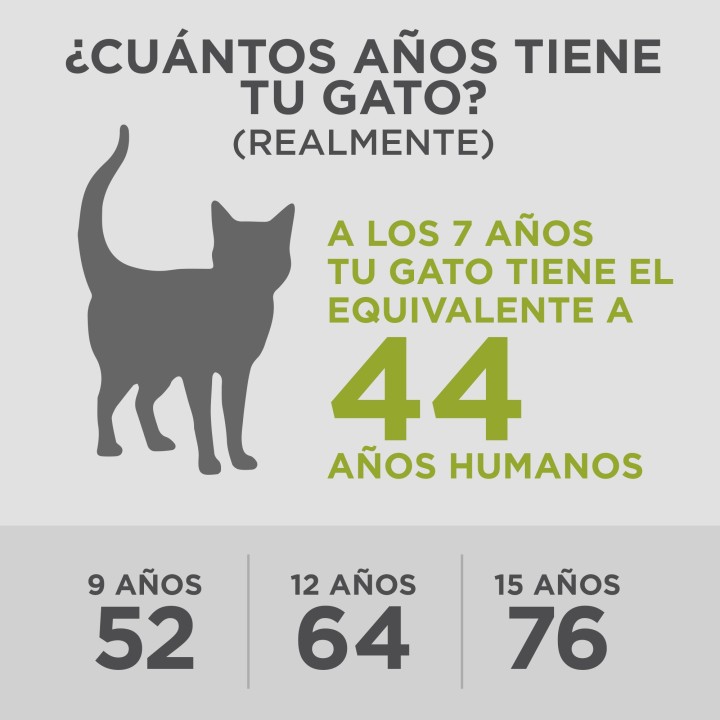 SP Feline  Adult 7+  Youthful Vitality con Pollo y Arroz