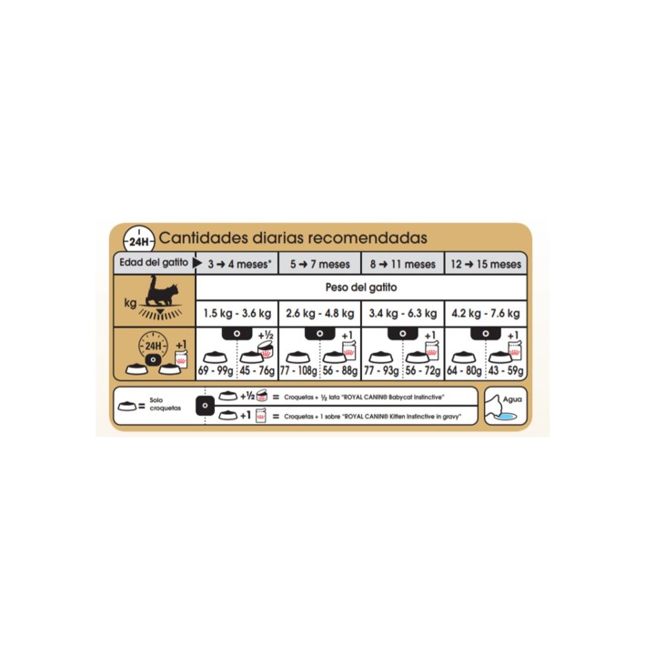 cantidad recomendada de pienso Royal Canin Maine Coon Kitten
